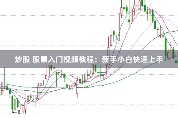 炒股 股票入门视频教程：新手小白快速上手