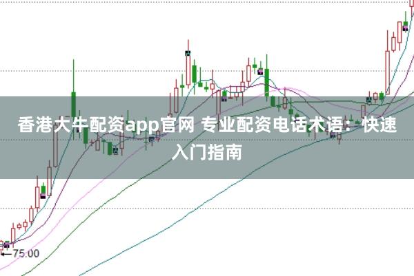 香港大牛配资app官网 专业配资电话术语：快速入门指南