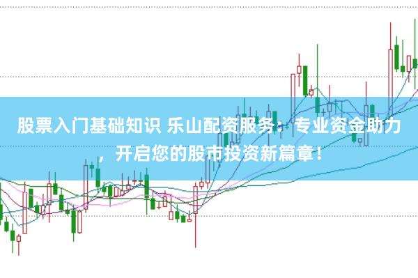 股票入门基础知识 乐山配资服务：专业资金助力，开启您的股市投资新篇章！