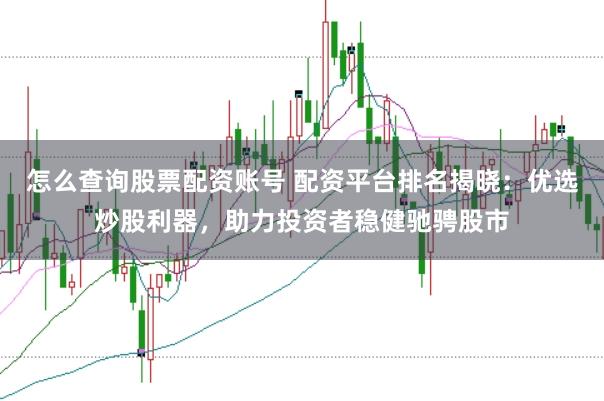 怎么查询股票配资账号 配资平台排名揭晓：优选炒股利器，助力投资者稳健驰骋股市