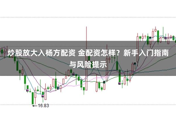 炒股放大入杨方配资 金配资怎样？新手入门指南与风险提示