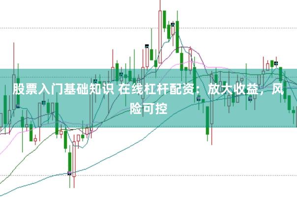 股票入门基础知识 在线杠杆配资：放大收益，风险可控