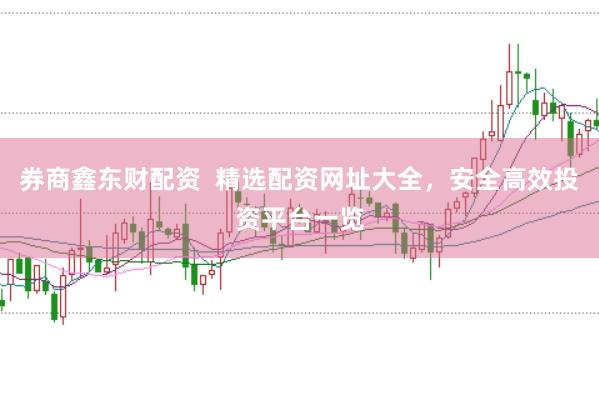 券商鑫东财配资  精选配资网址大全，安全高效投资平台一览