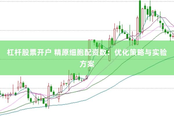 杠杆股票开户 精原细胞配资数：优化策略与实验方案