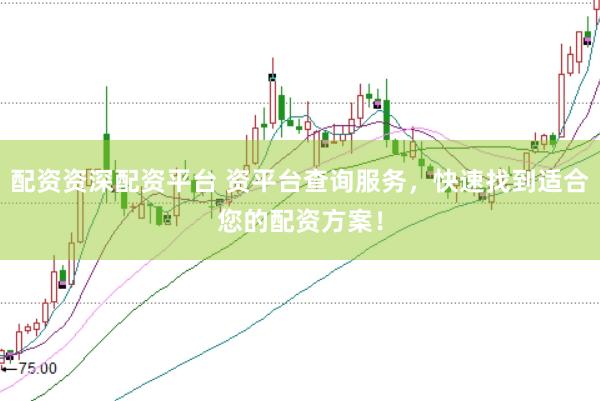 配资资深配资平台 资平台查询服务，快速找到适合您的配资方案！