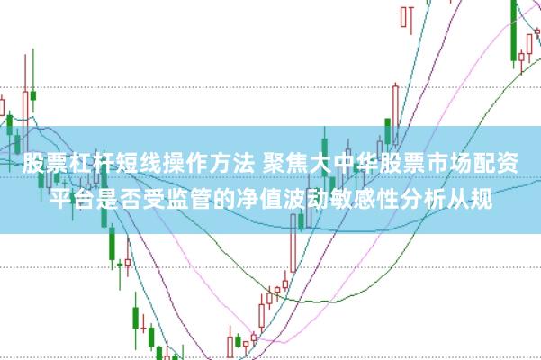 股票杠杆短线操作方法 聚焦大中华股票市场配资平台是否受监管的净值波动敏感性分析从规