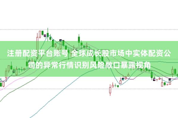 注册配资平台账号 全球成长股市场中实体配资公司的异常行情识别风险敞口暴露视角