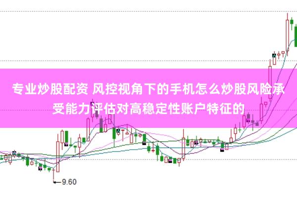 专业炒股配资 风控视角下的手机怎么炒股风险承受能力评估对高稳定性账户特征的
