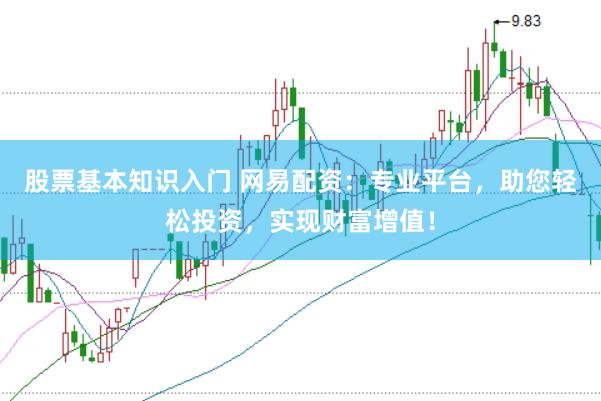 股票基本知识入门 网易配资：专业平台，助您轻松投资，实现财富增值！